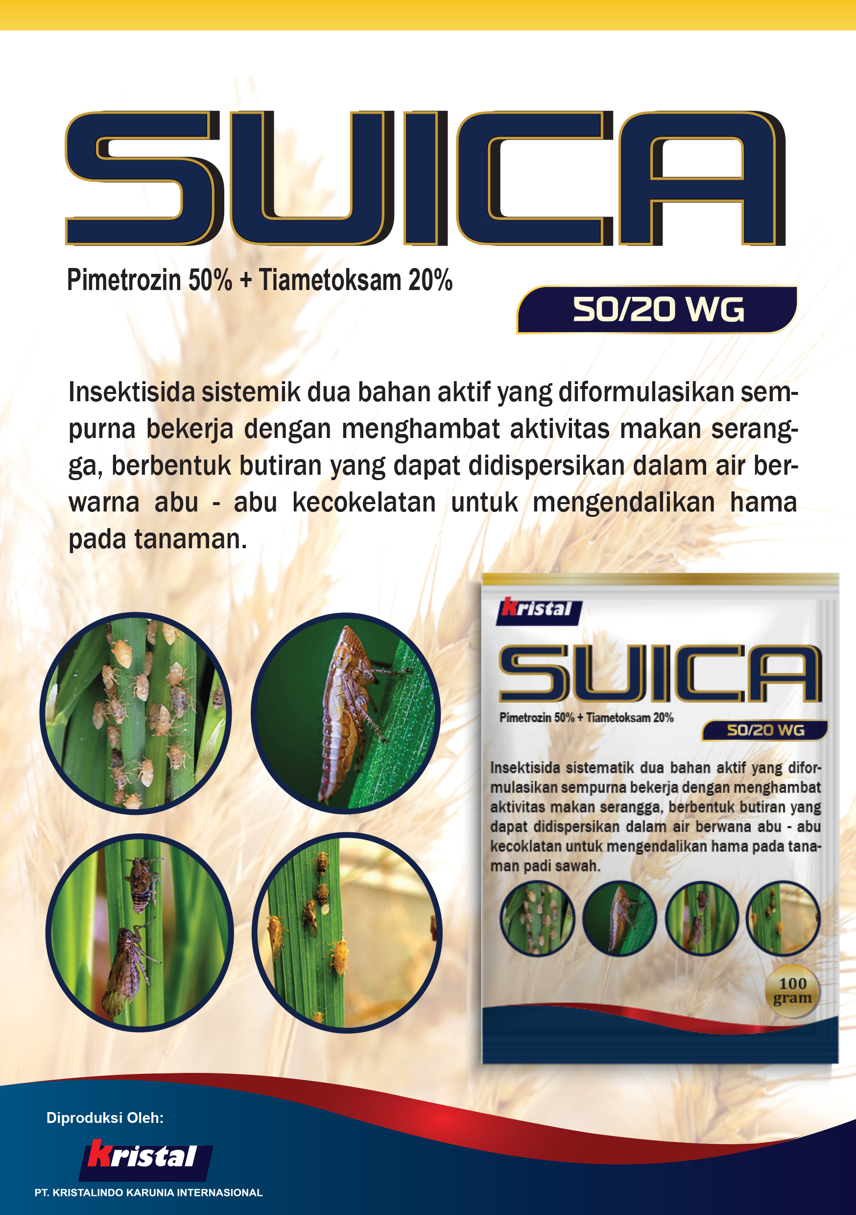 Produk Brosur